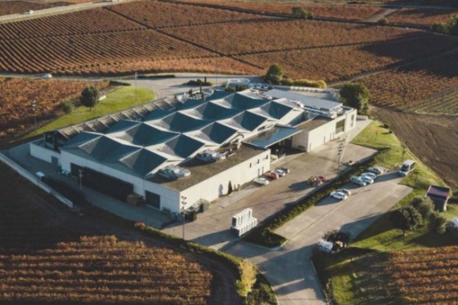 Cepa 21 bodega